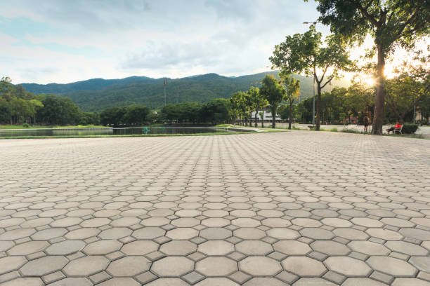 Paver Driveway Replacement in Eatonville, FL